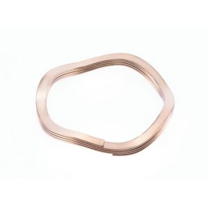 indlejrede bølgefjedre